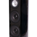 Напольная акустика RBH Sound R55Ti Black