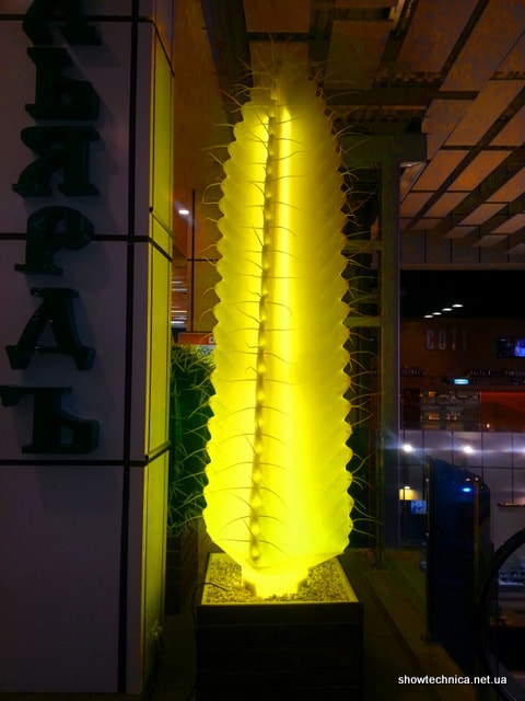 Dafi